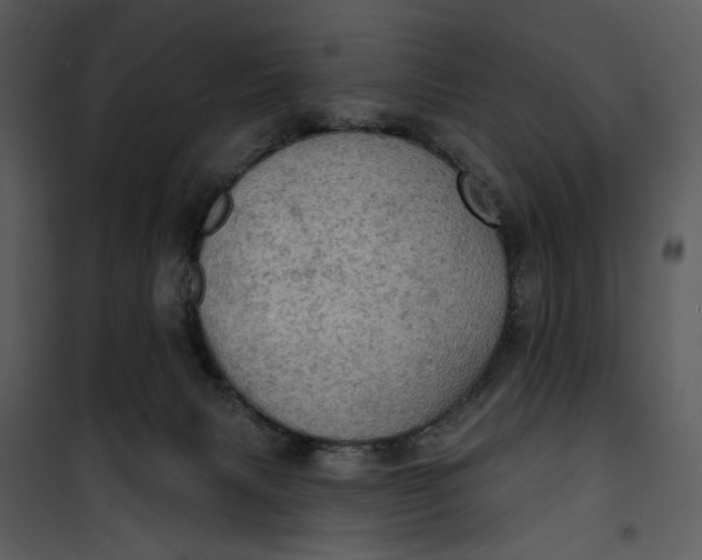 X0000101160079200807181409