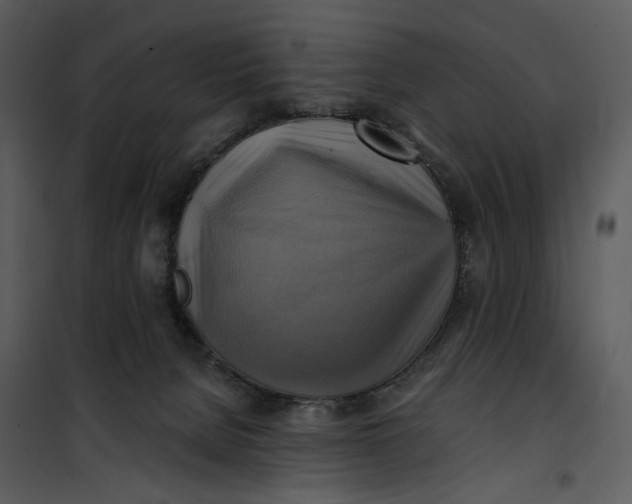 X0000101160080200807181409