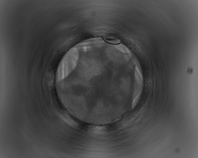 X0000101160081200807181409