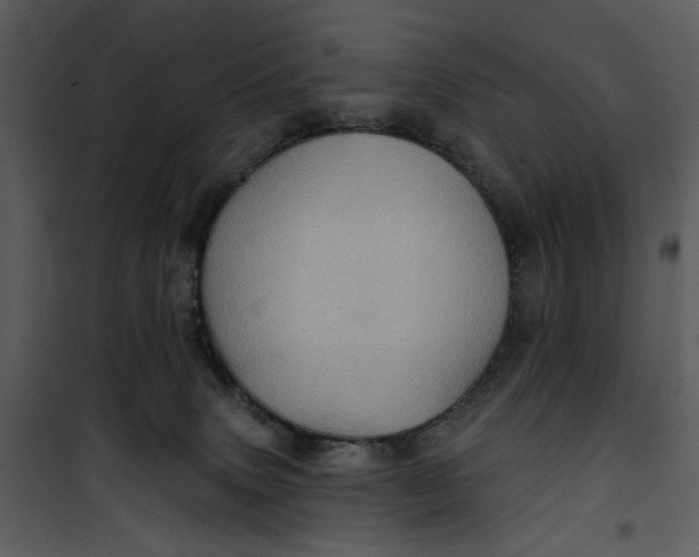 X0000101160083200807181409