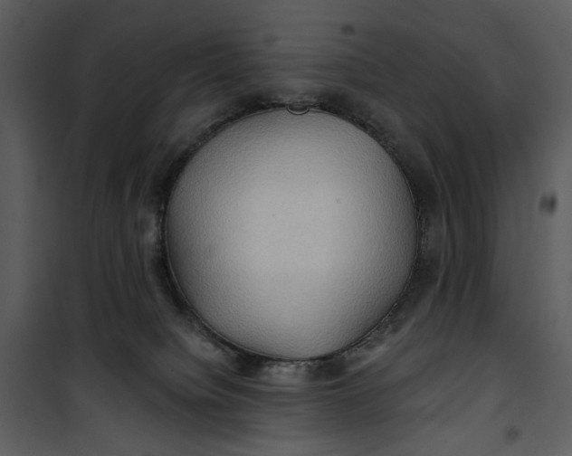 X0000101160084200807181409