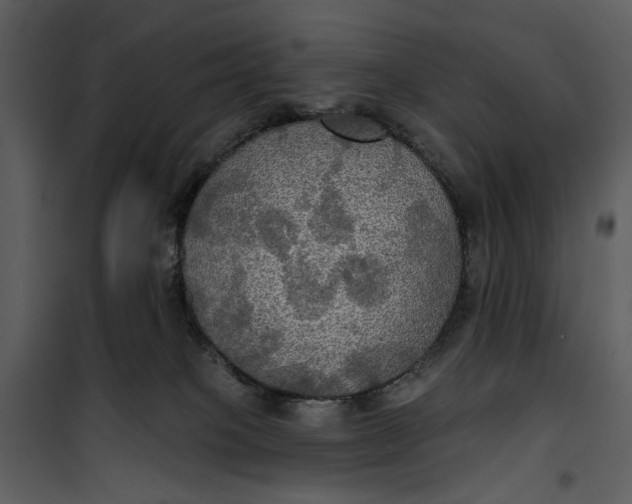 X0000101160085200807181409