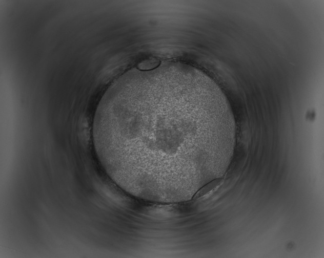X0000101160086200807181409