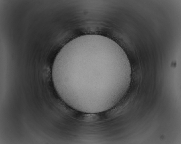 X0000101160087200807181409