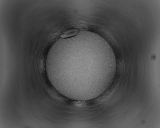 X0000101160088200807181409