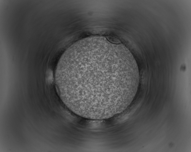 X0000101160089200807181409