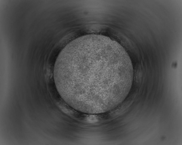 X0000101160091200807181409