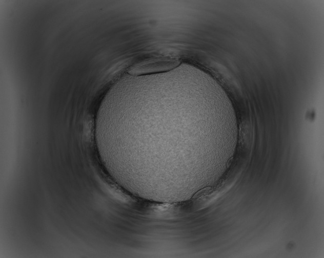 X0000101160092200807181409
