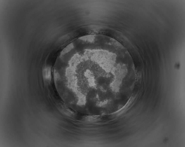 X0000101160094200807181409