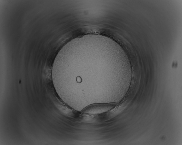 X0000101160096200807181409