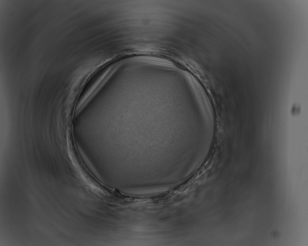 X0000101160097200807181408