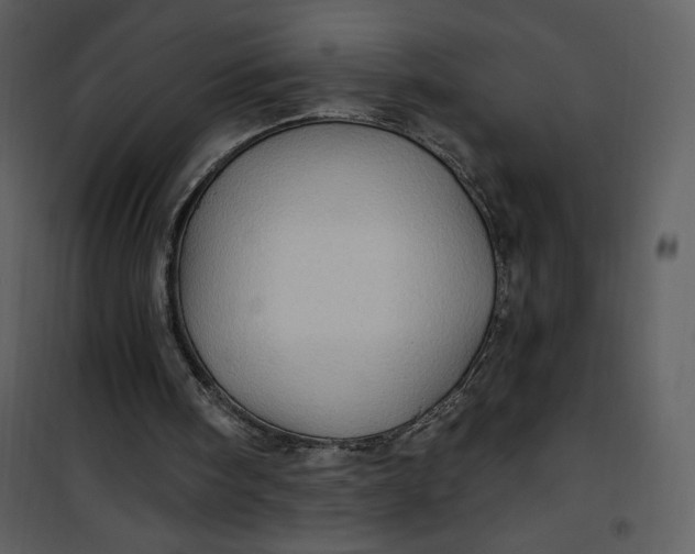 X0000101160098200807181408