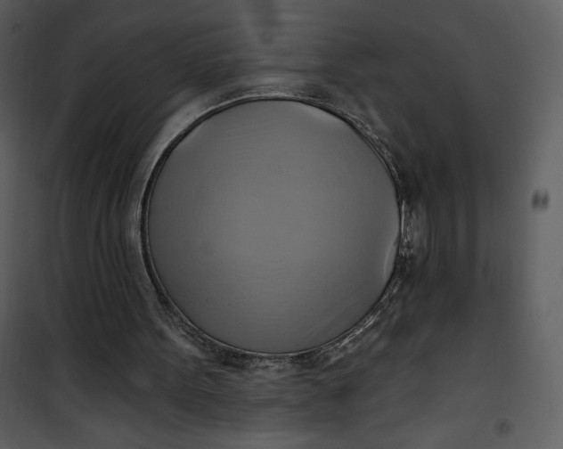 X0000101160099200807181408