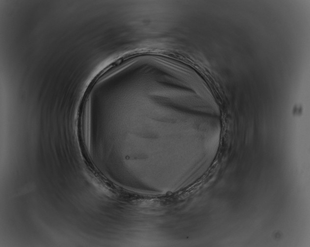 X0000101160100200807181408