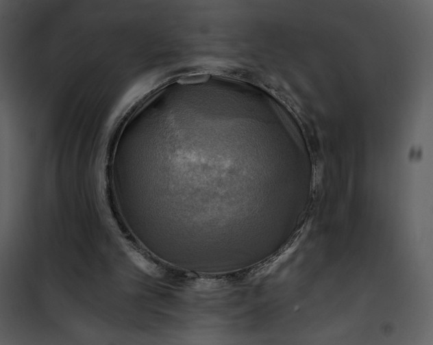 X0000101160101200807181408