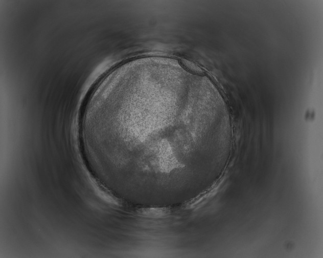 X0000101160102200807181408