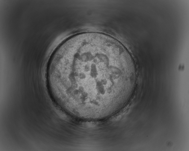 X0000101160103200807181408