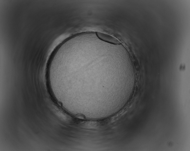 X0000101160104200807181408