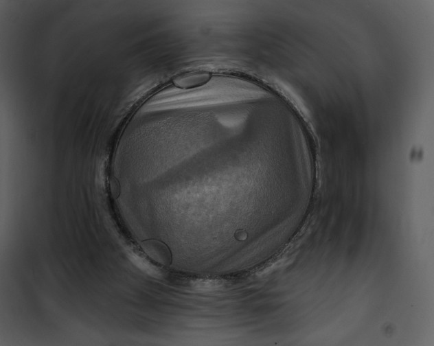 X0000101160105200807181408