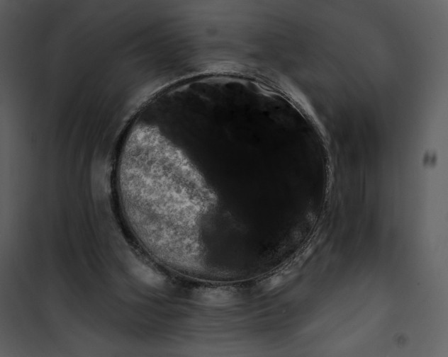 X0000101160106200807181408