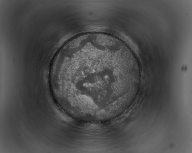 X0000101160107200807181408