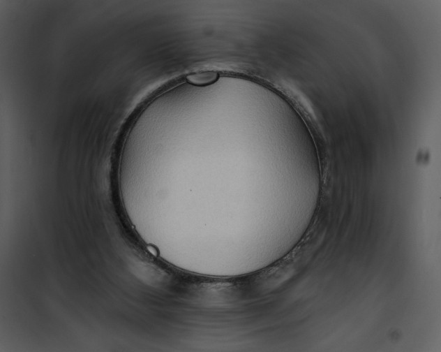 X0000101160108200807181408