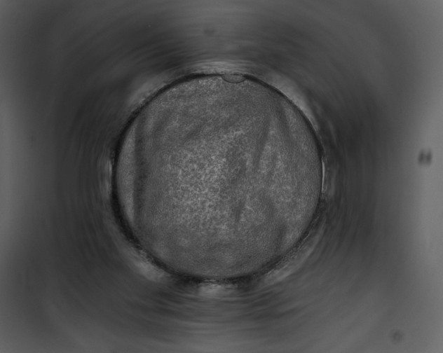 X0000101160109200807181408