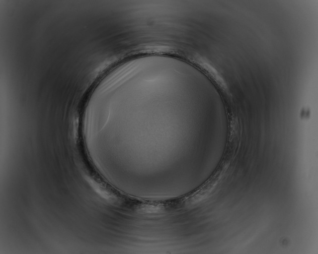 X0000101160110200807181408