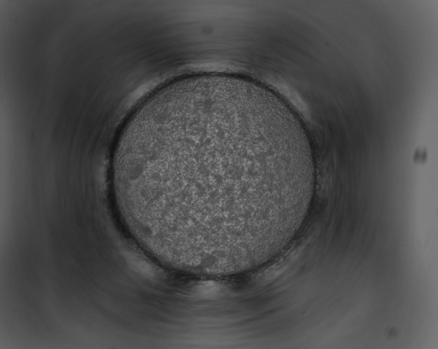 X0000101160111200807181408