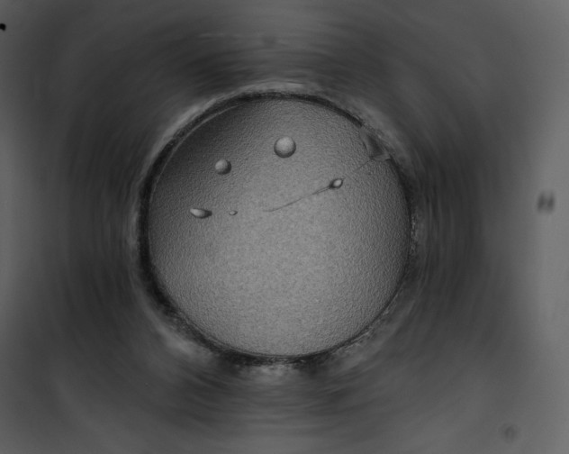 X0000101160112200807181408
