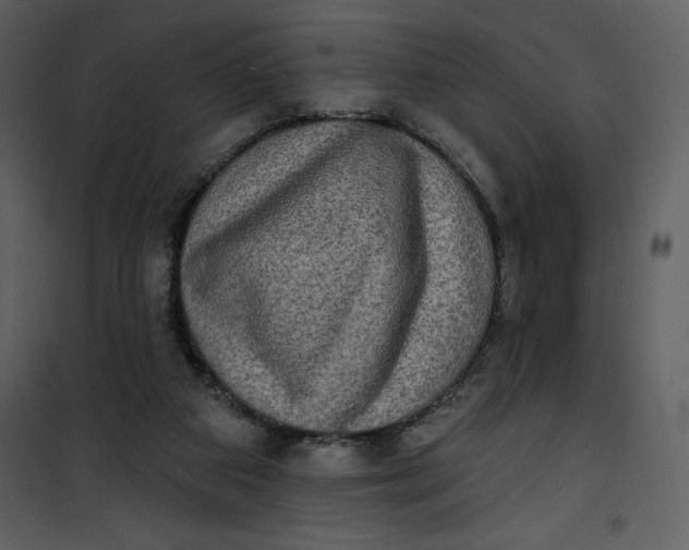 X0000101160113200807181408