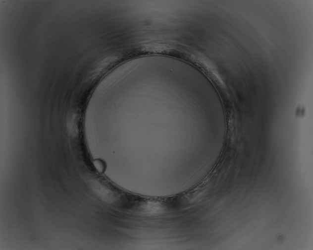 X0000101160114200807181408