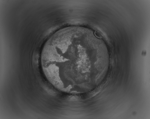 X0000101160115200807181408