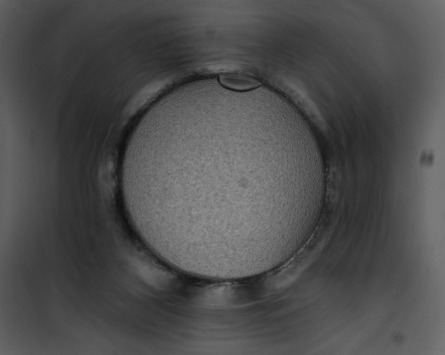 X0000101160116200807181408