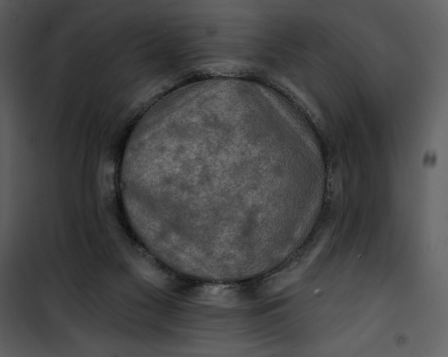 X0000101160117200807181408