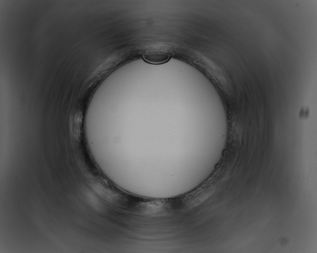 X0000101160118200807181408