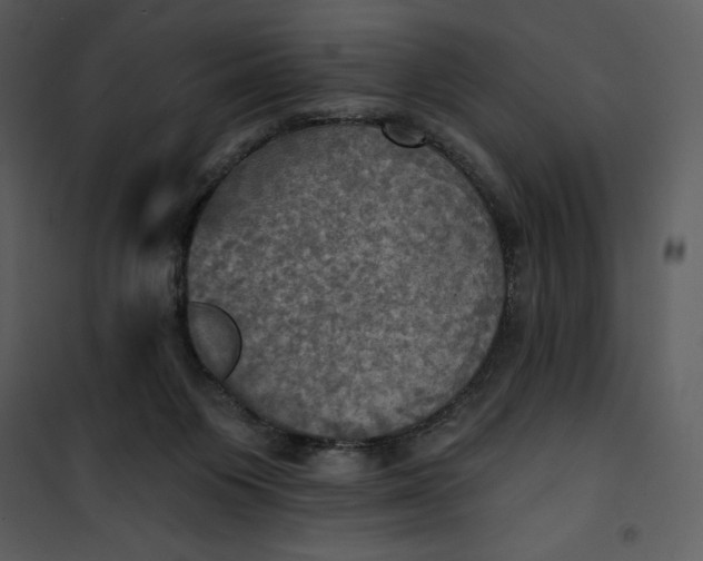 X0000101160119200807181408