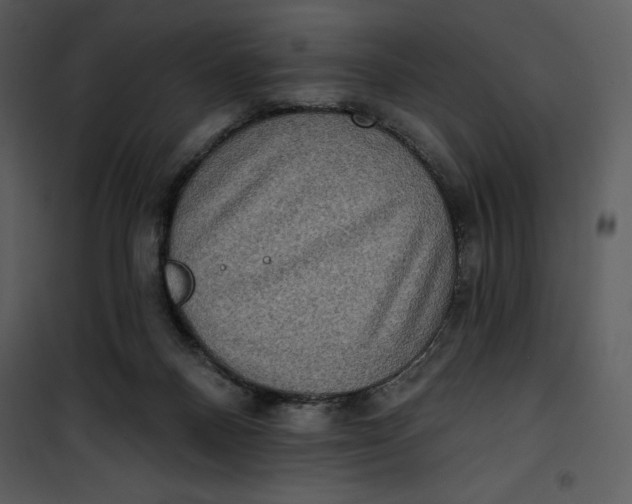 X0000101160120200807181408