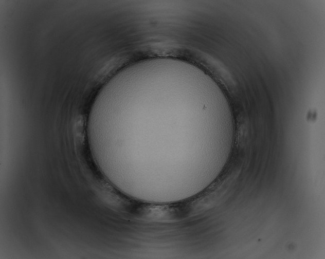 X0000101160121200807181408