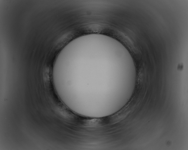 X0000101160122200807181408
