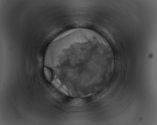 X0000101160123200807181408
