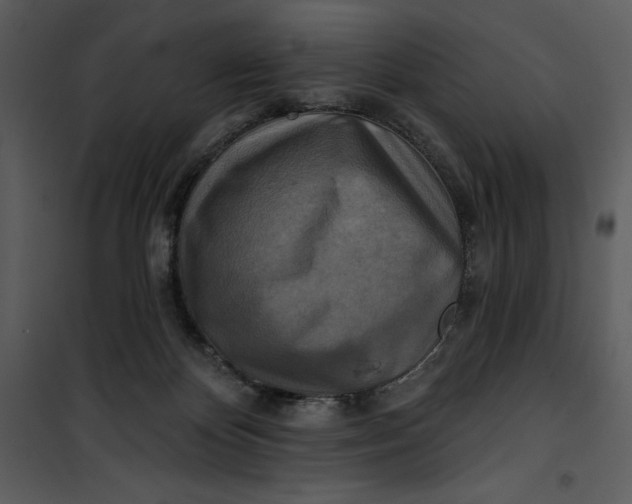 X0000101160124200807181408