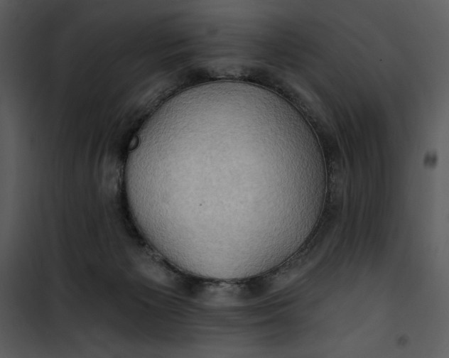 X0000101160125200807181408