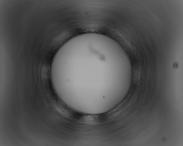 X0000101160126200807181408