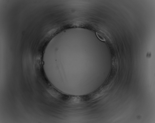 X0000101160127200807181408