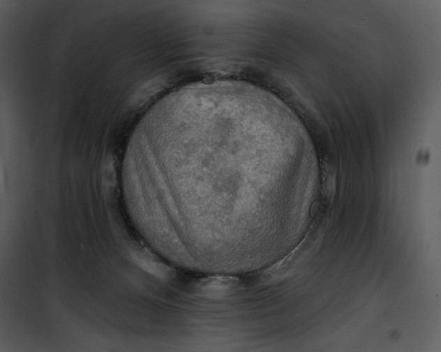 X0000101160128200807181408