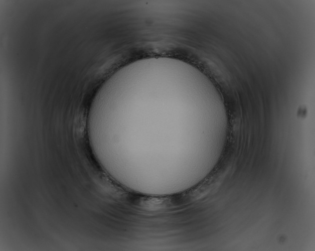 X0000101160129200807181408