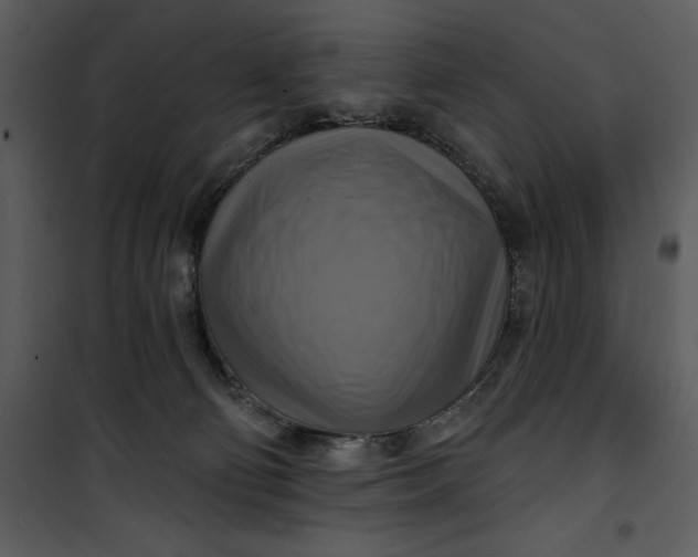 X0000101160130200807181408