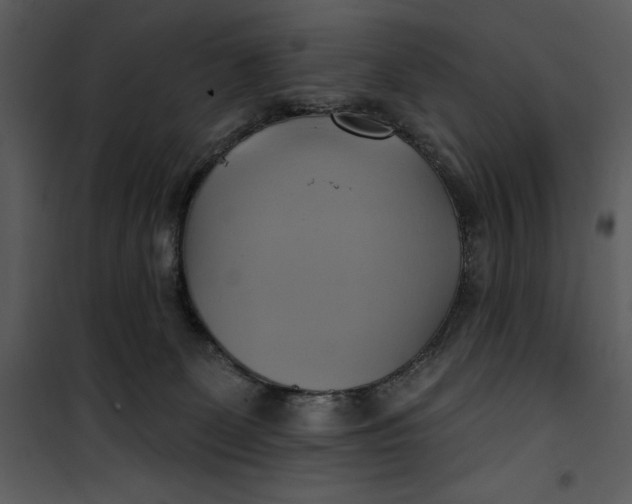 X0000101160131200807181408