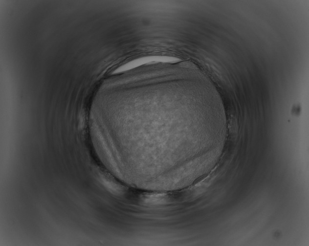 X0000101160132200807181408